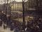 1918 : la fin des combats attire les foules